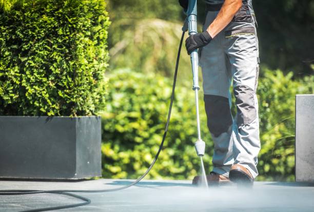 Best Warehouse Cleaning  in Patton Village, TX