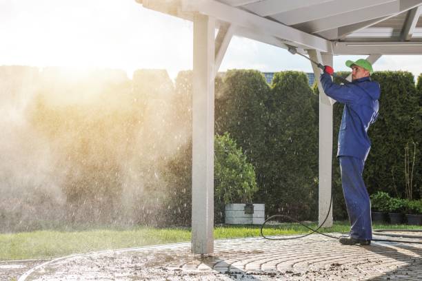 Best Roof Washing  in Patton Village, TX