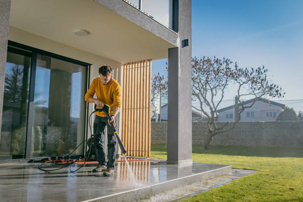 Best Solar Panel Cleaning  in Patton Village, TX